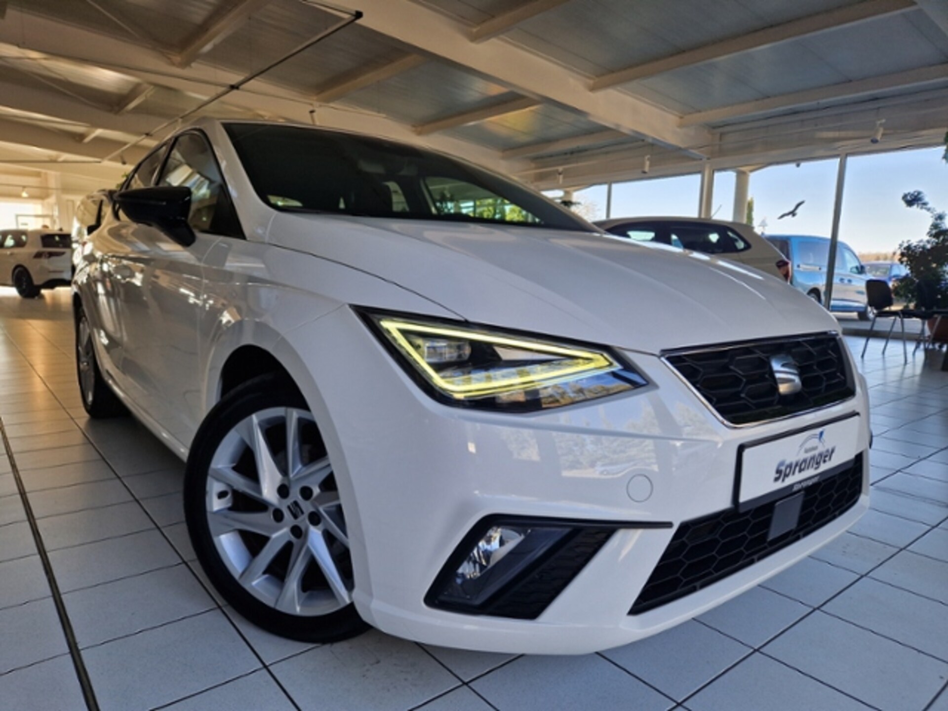 SEAT Ibiza FR