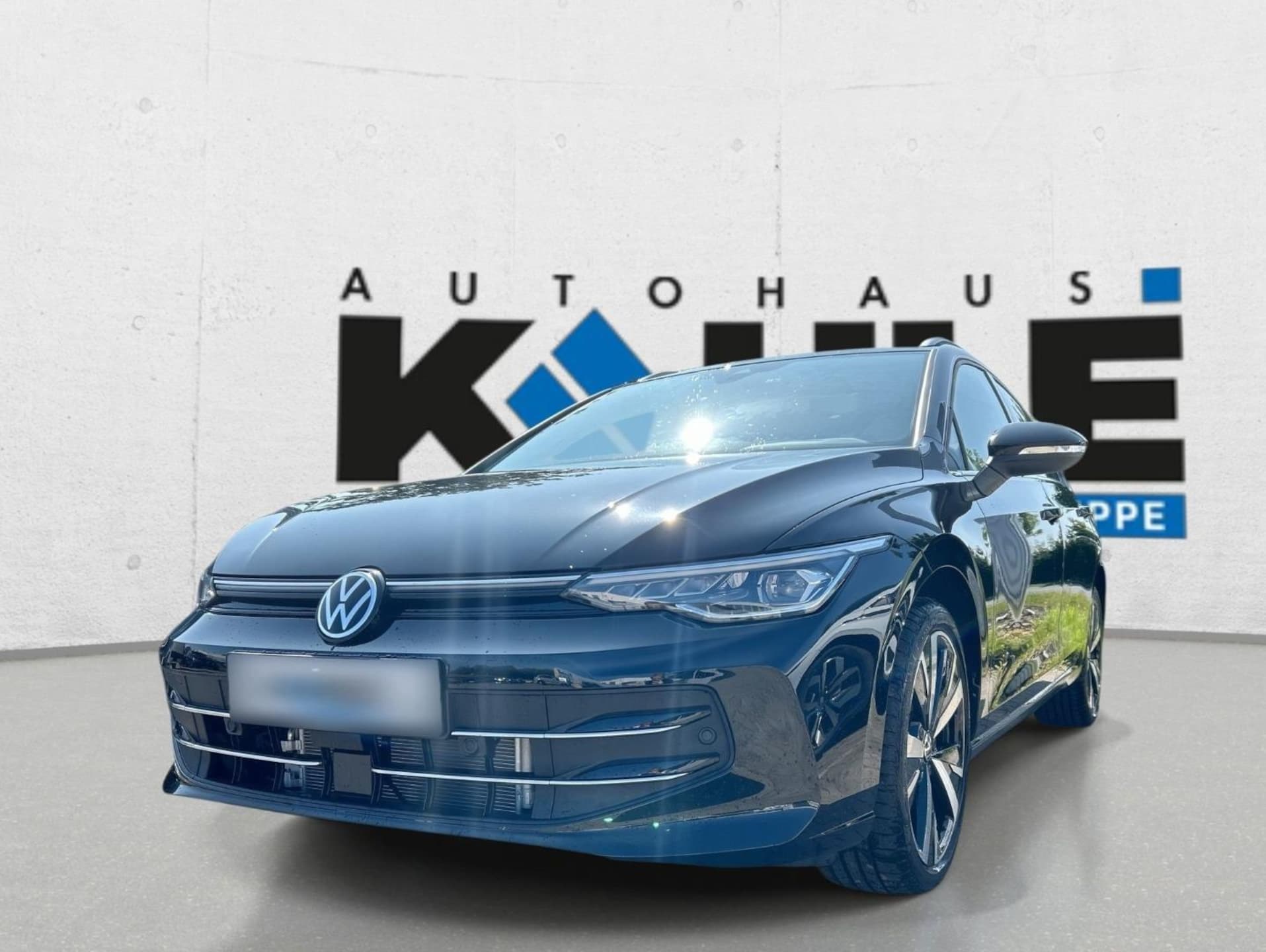 Volkswagen Golf Variant Style