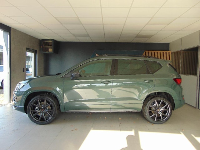 Bild des Autos 2