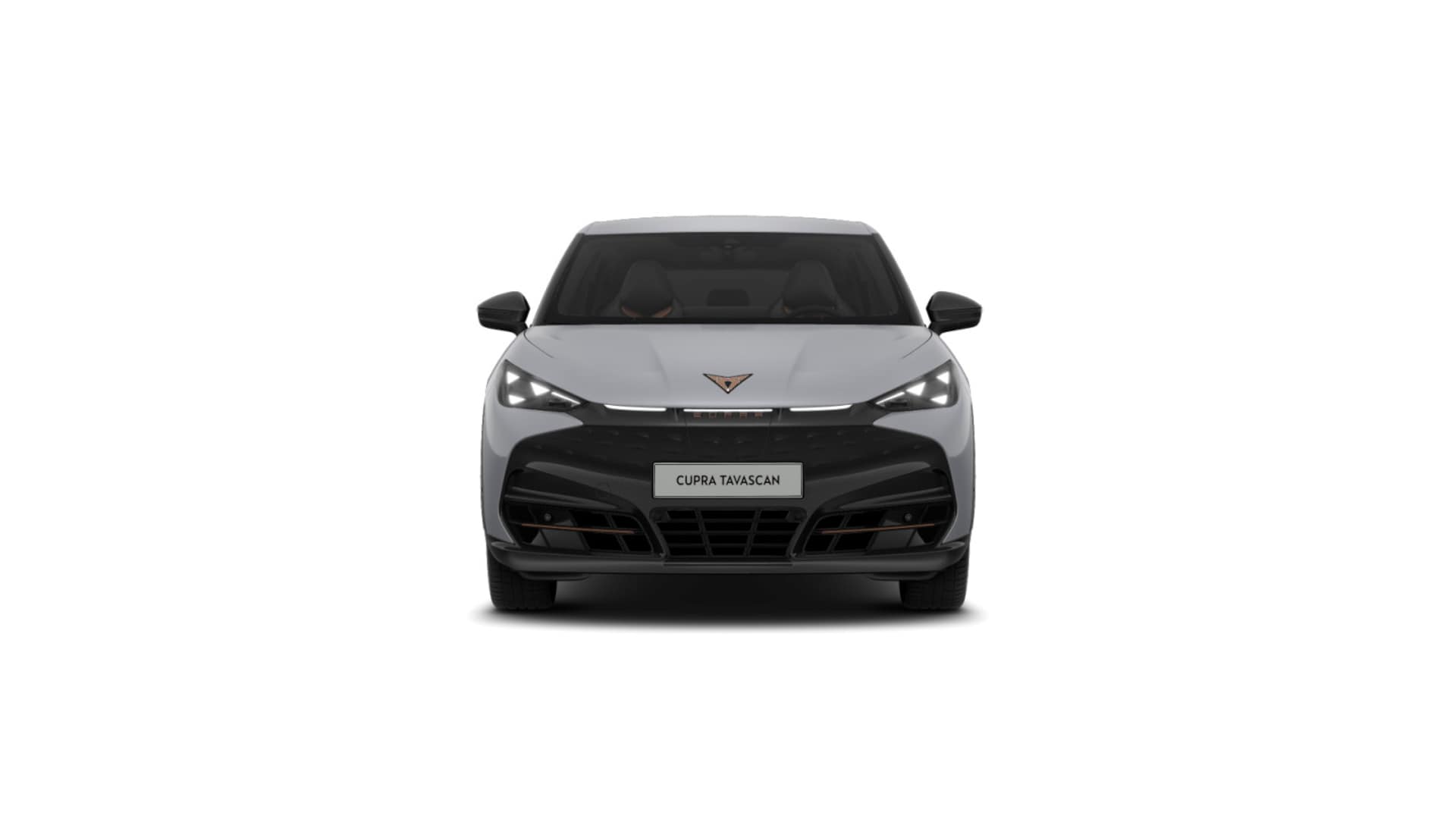 CUPRA Tavascan Endurance