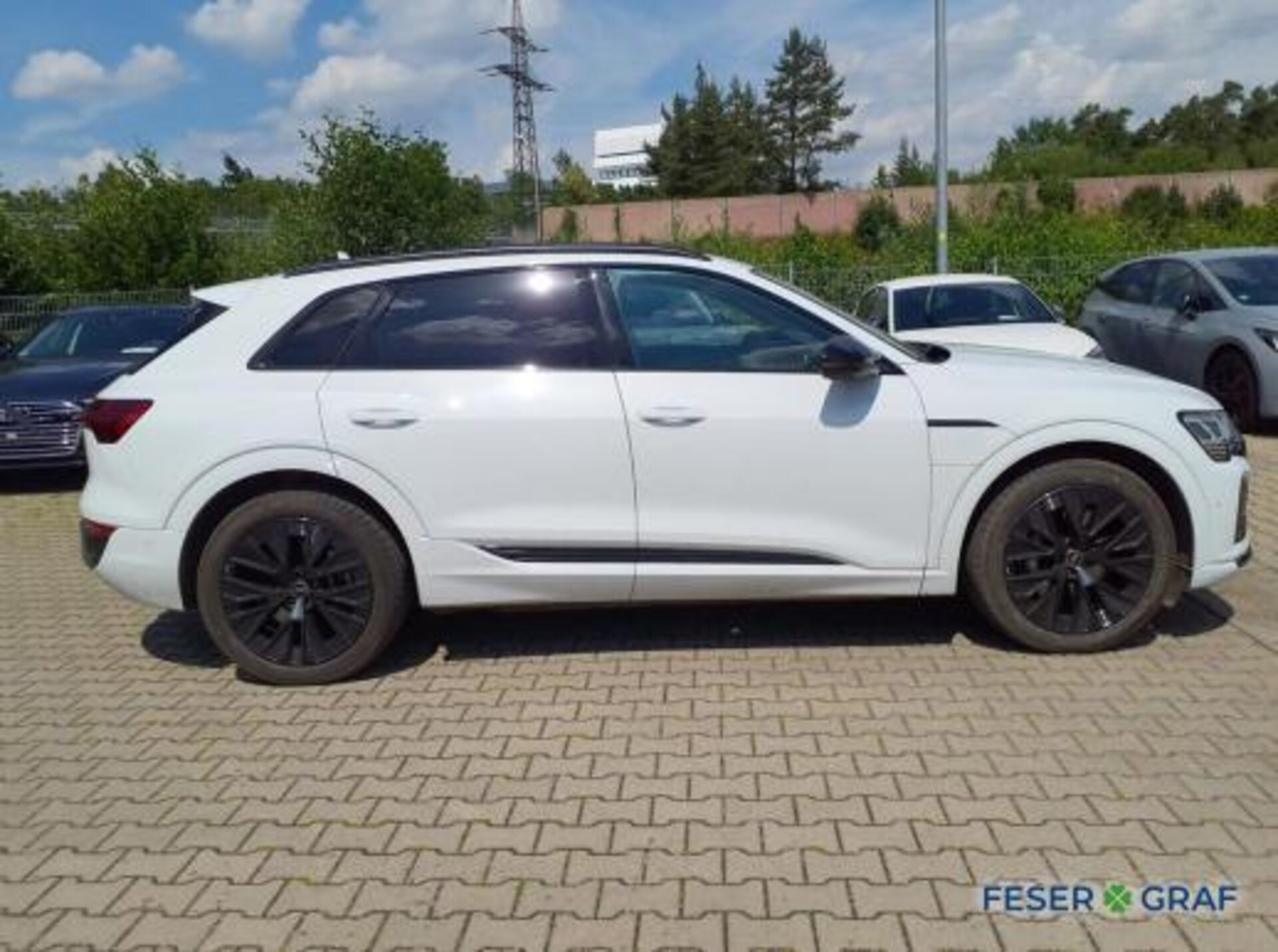 Audi Q8 e-tron S line