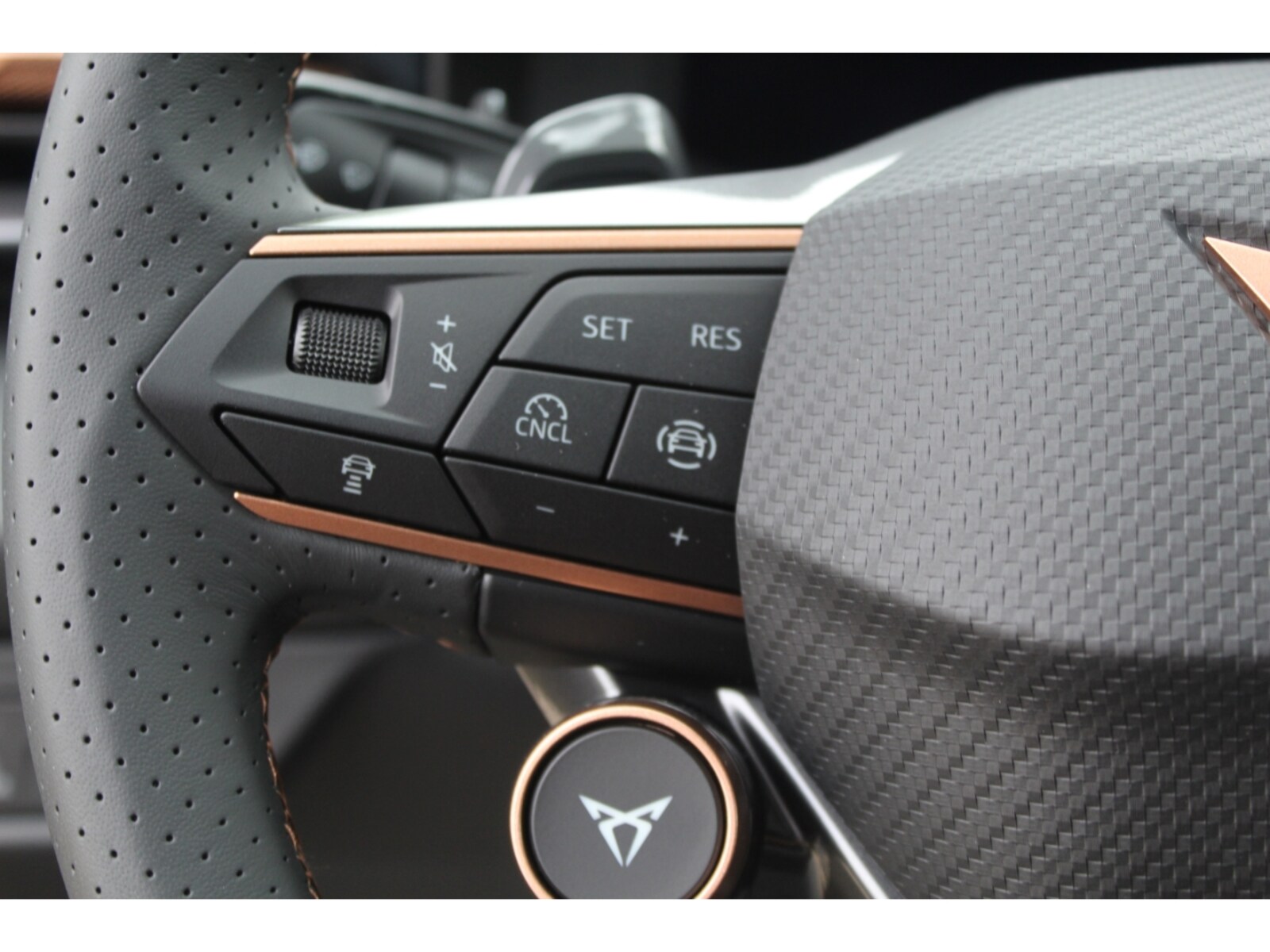 CUPRA Terramar – Bild 12