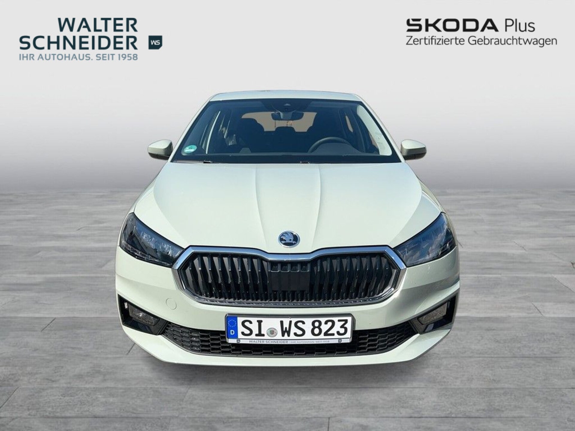 Skoda Fabia Selection