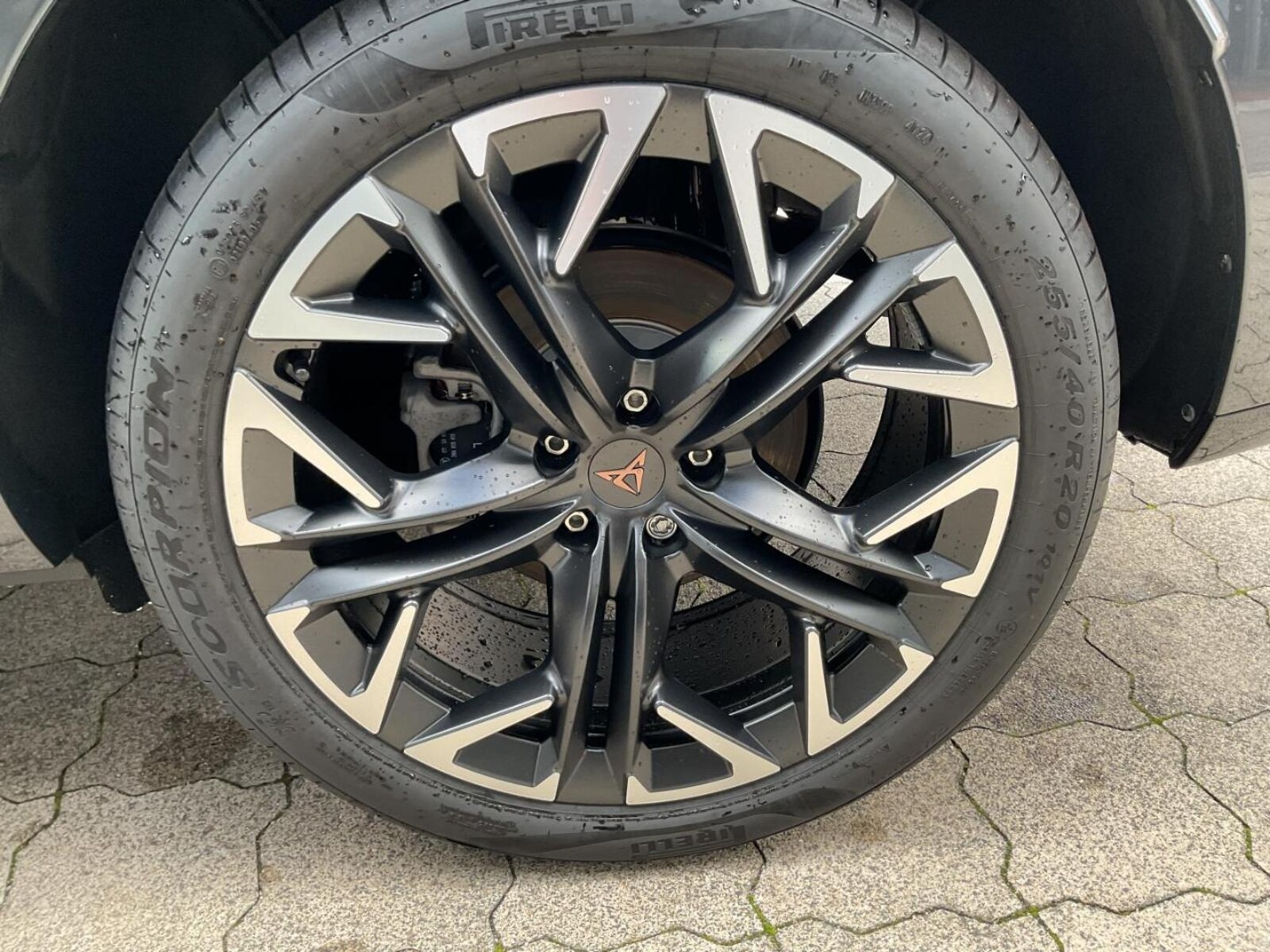 CUPRA Terramar – Bild 13