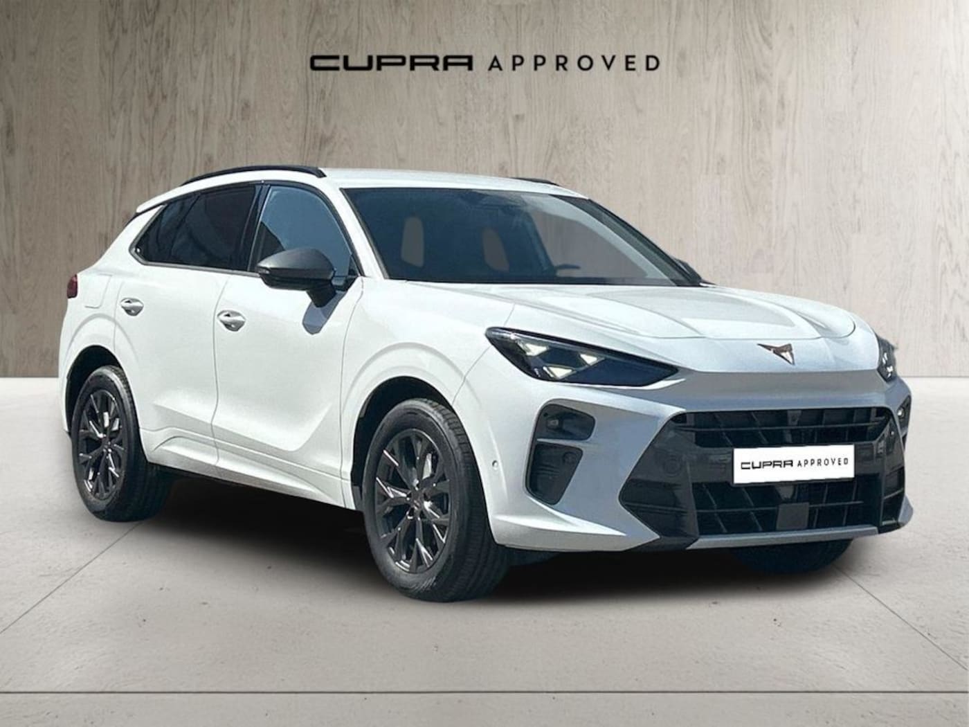 CUPRA Terramar 1.5 eTSI DSG 110 kW (150 CV) — photo 1