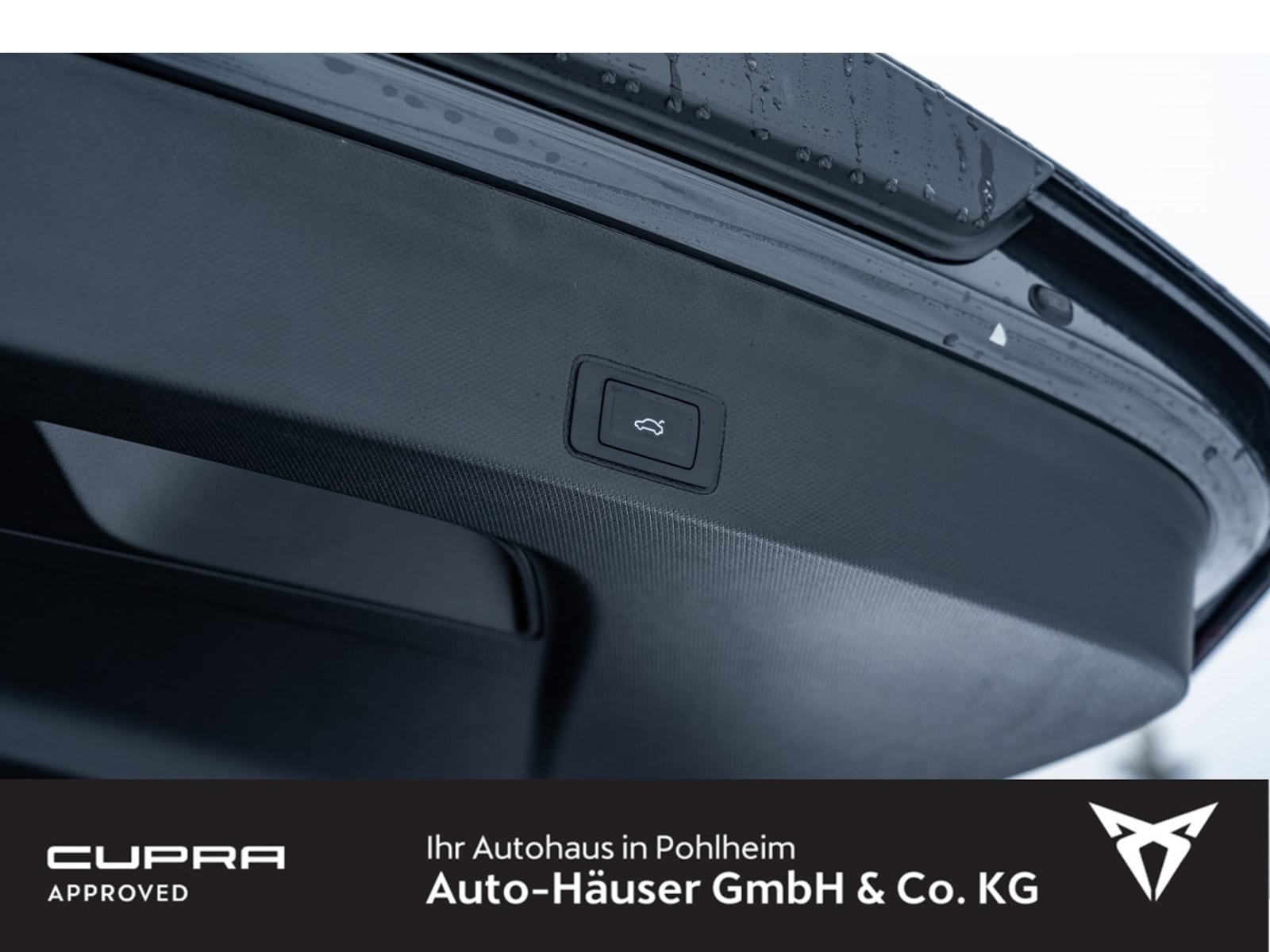 CUPRA Terramar – Bild 10