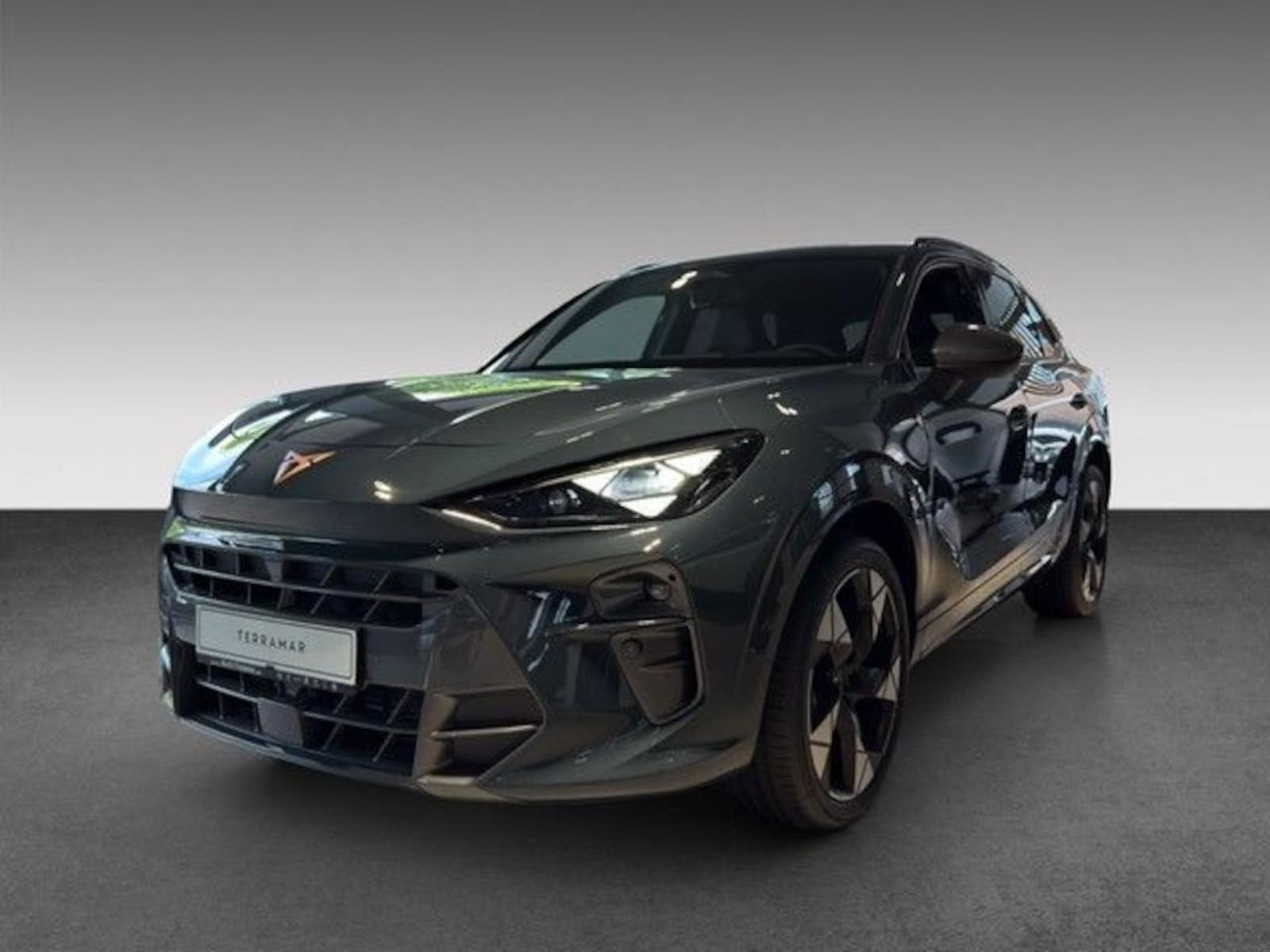 CUPRA Terramar – Bild 3