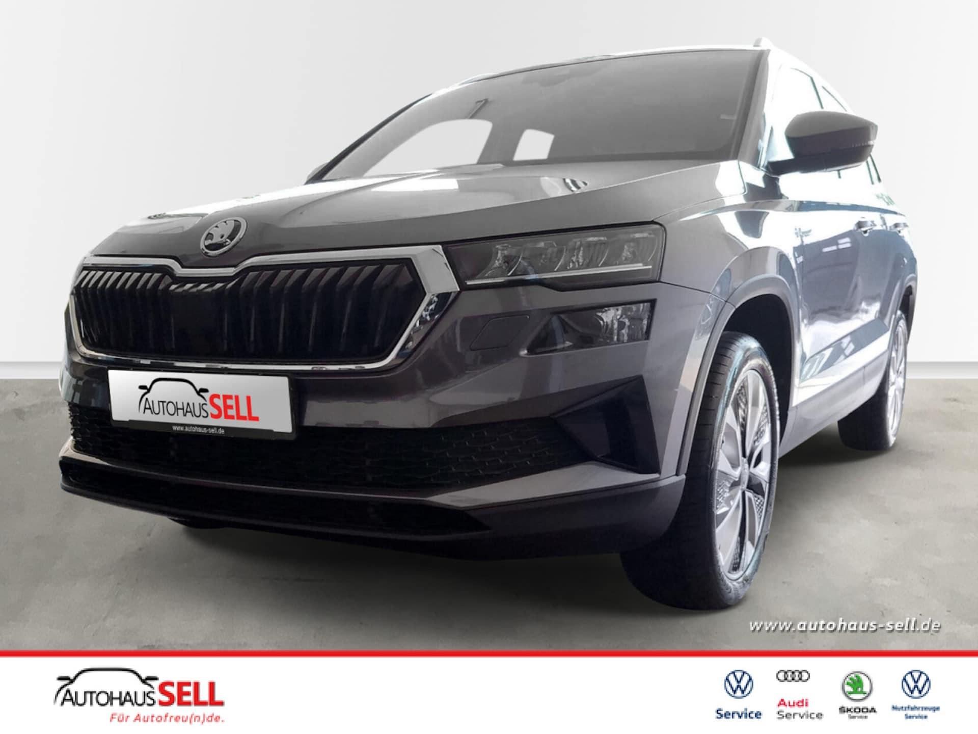 Skoda Karoq Selection