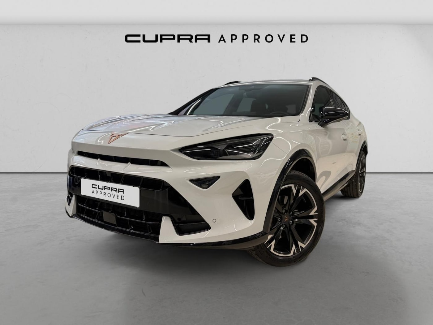 CUPRA Formentor 1.5 eTSI DSG 110 kW (150 CV) — photo 11