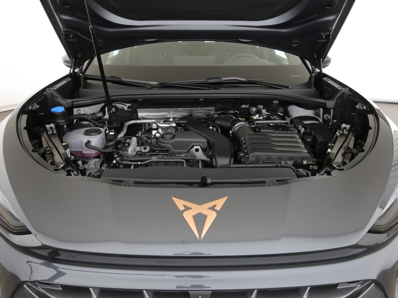CUPRA Terramar – Bild 28
