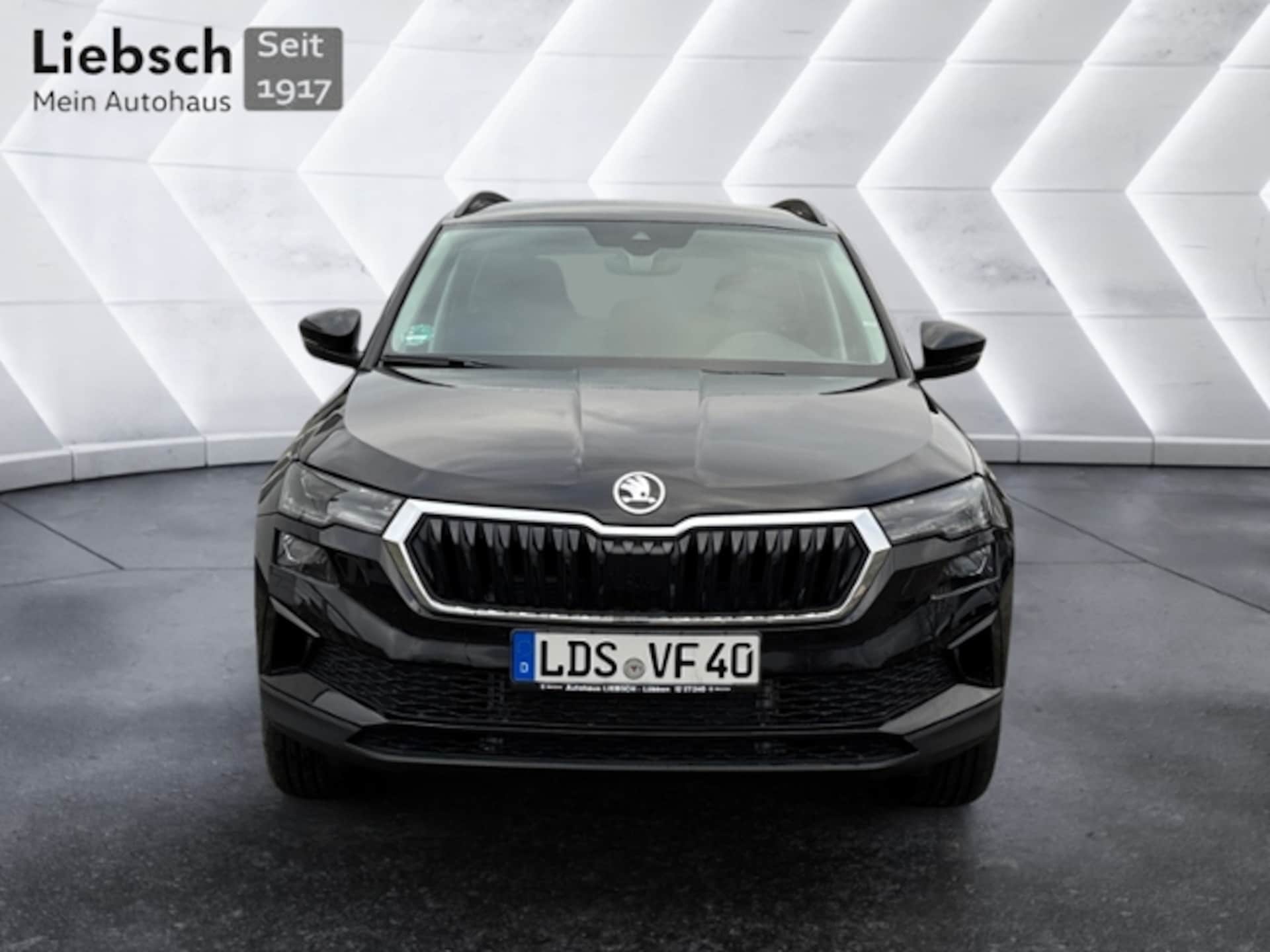 Skoda Karoq Selection