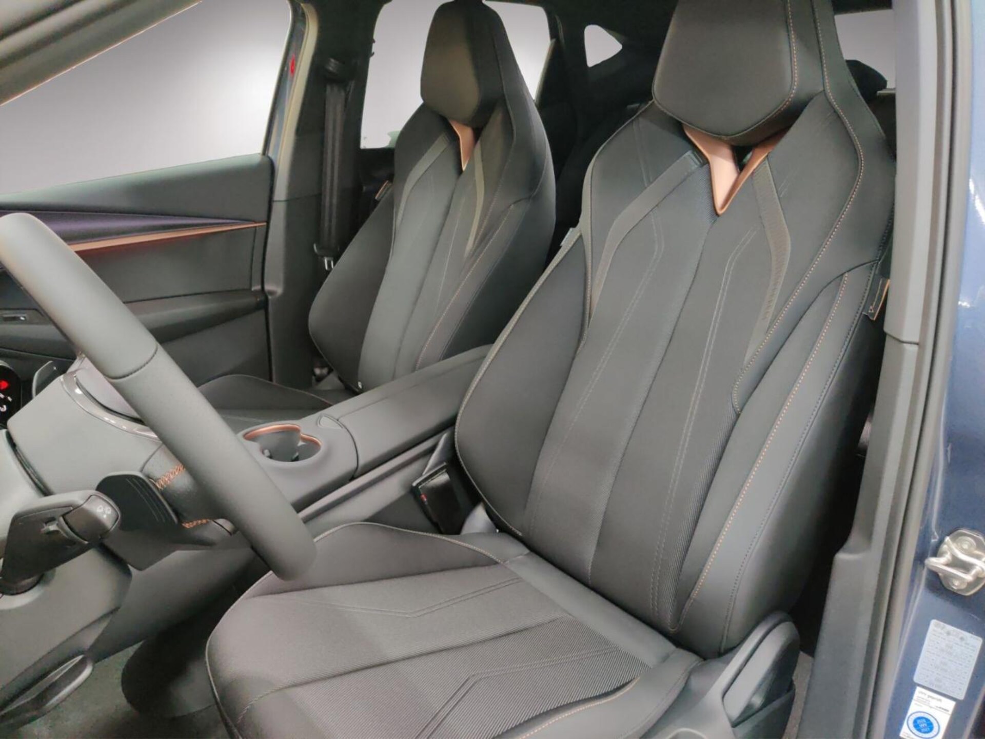 CUPRA Tavascan Endurance