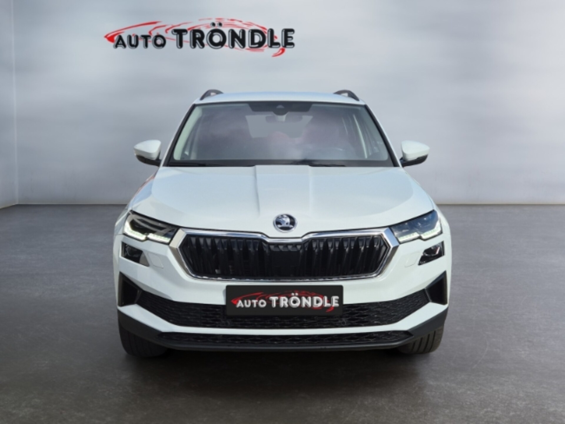 Skoda Karoq Ambition