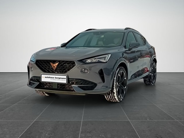 CUPRA Formentor 2.0 TSI 4Drive DSG (215_2845)
