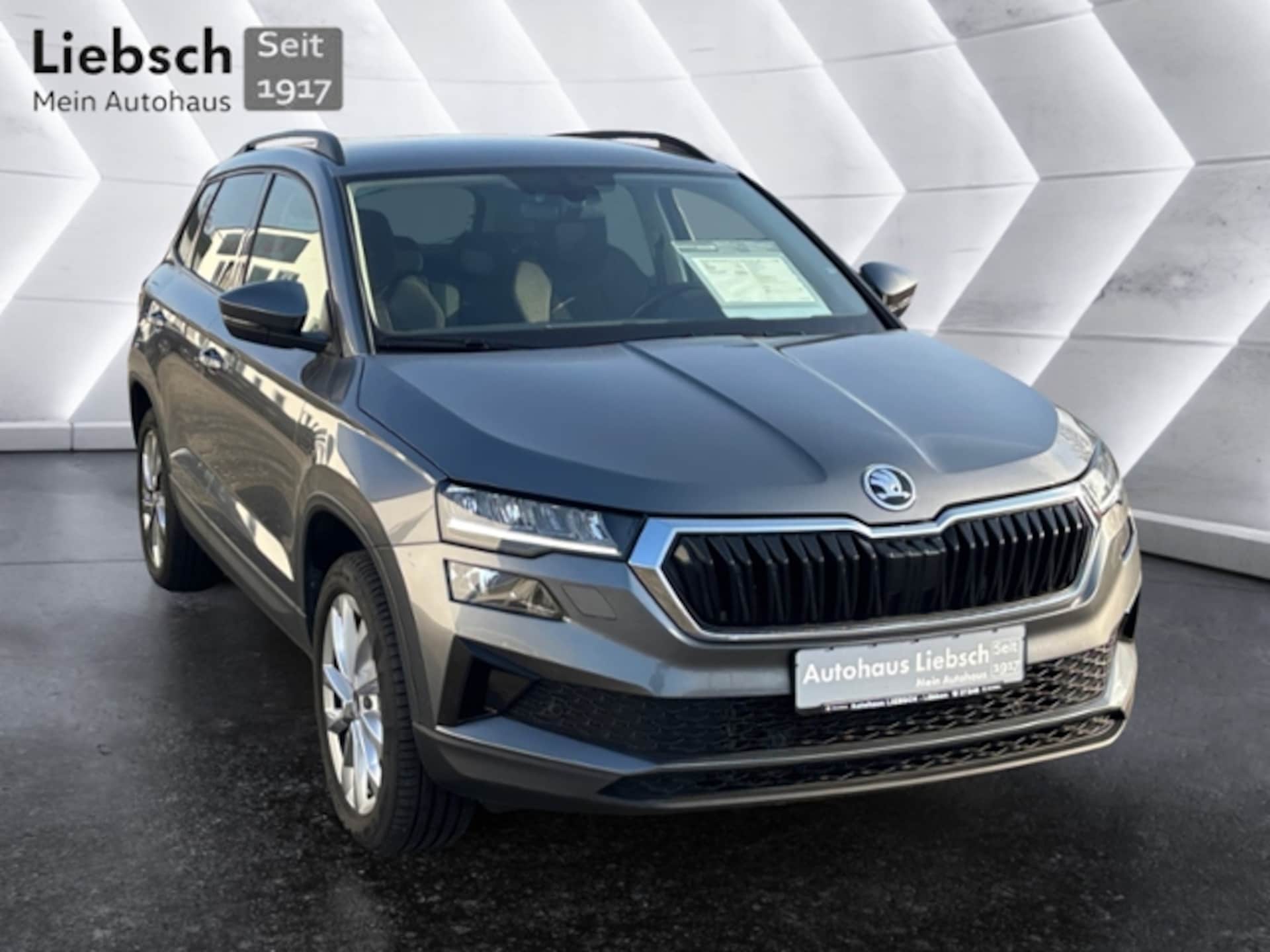 Skoda Karoq Style