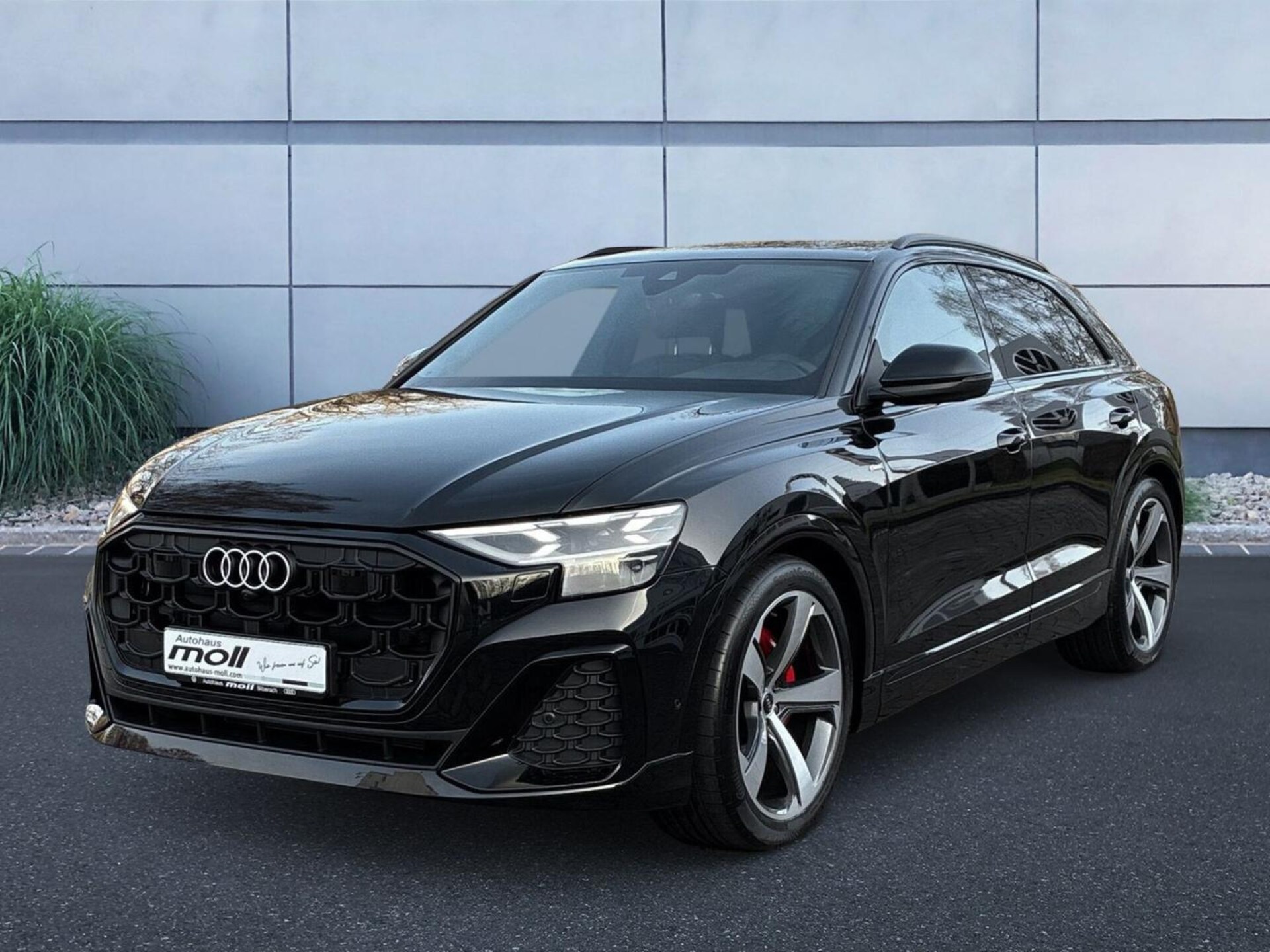 Audi Q8 SUV