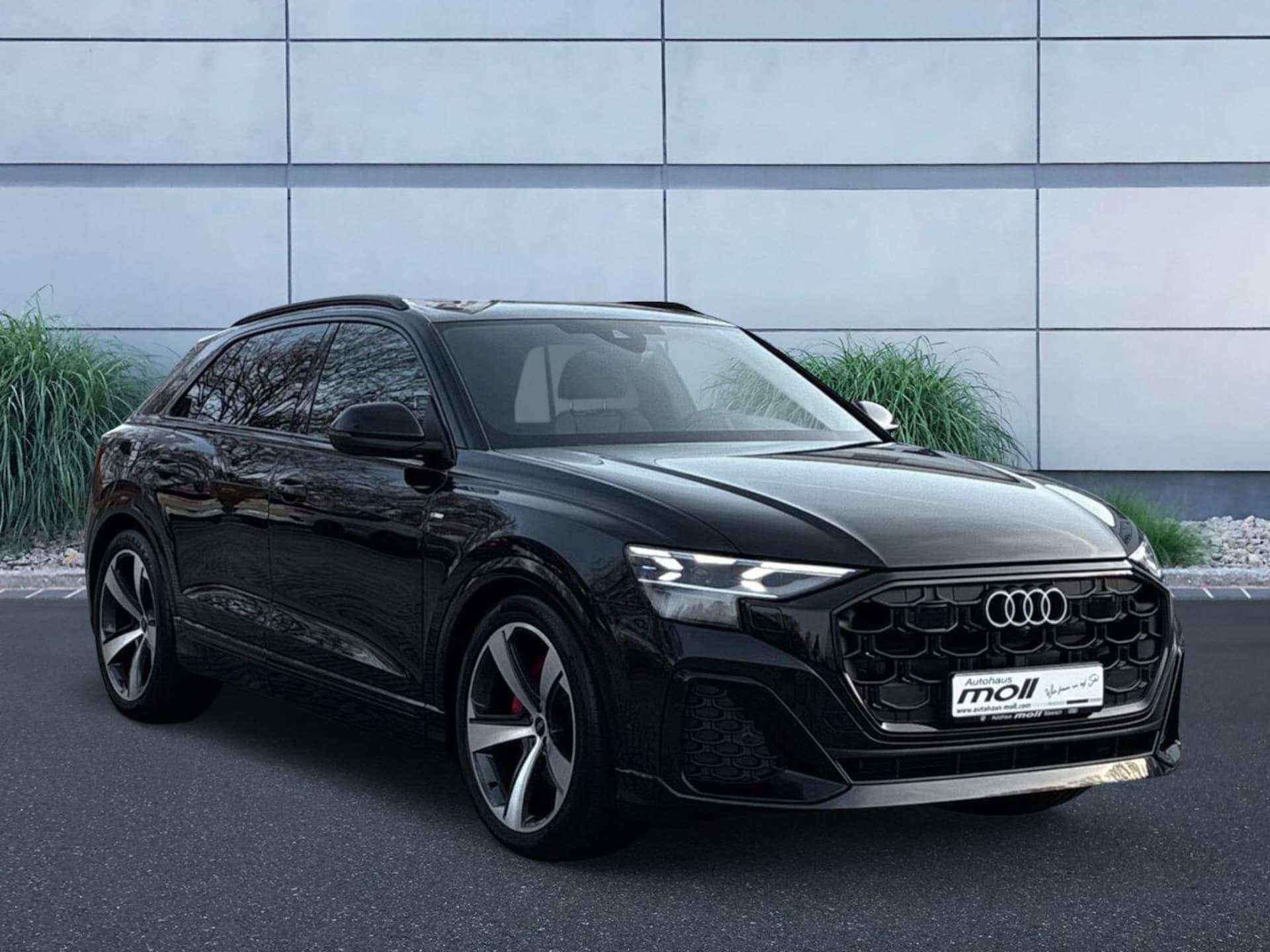 Audi Q8 SUV