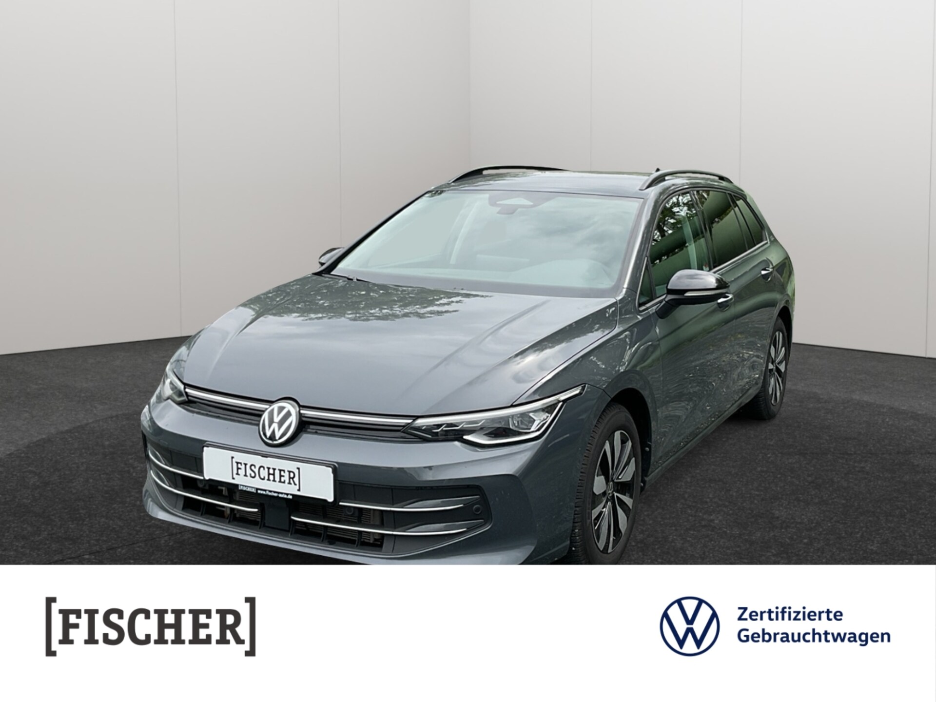Volkswagen Golf Variant Goal