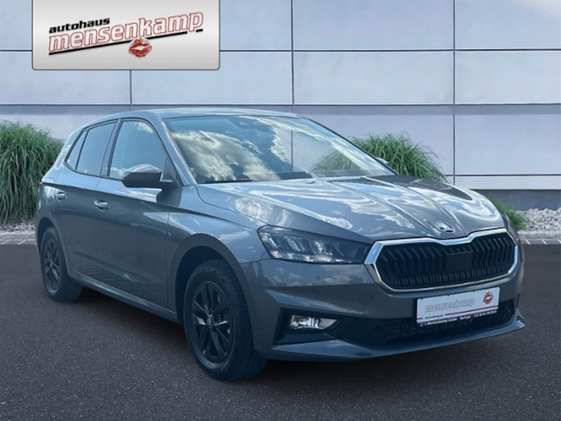 Skoda Fabia Extra Plus