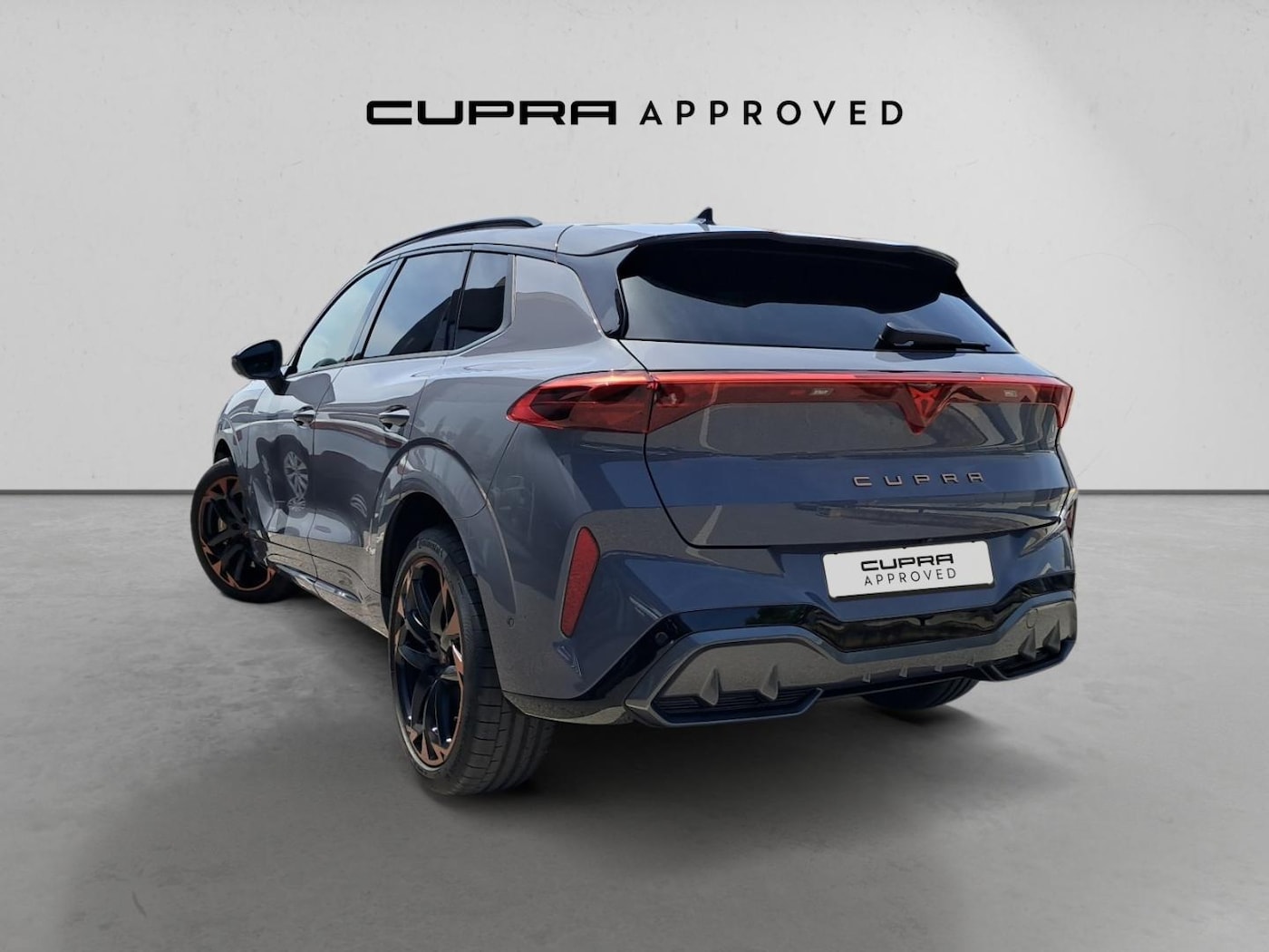 CUPRA Terramar 2.0 TSI VZ 4 Drive DSG 195 kW (265 CV) — photo 2