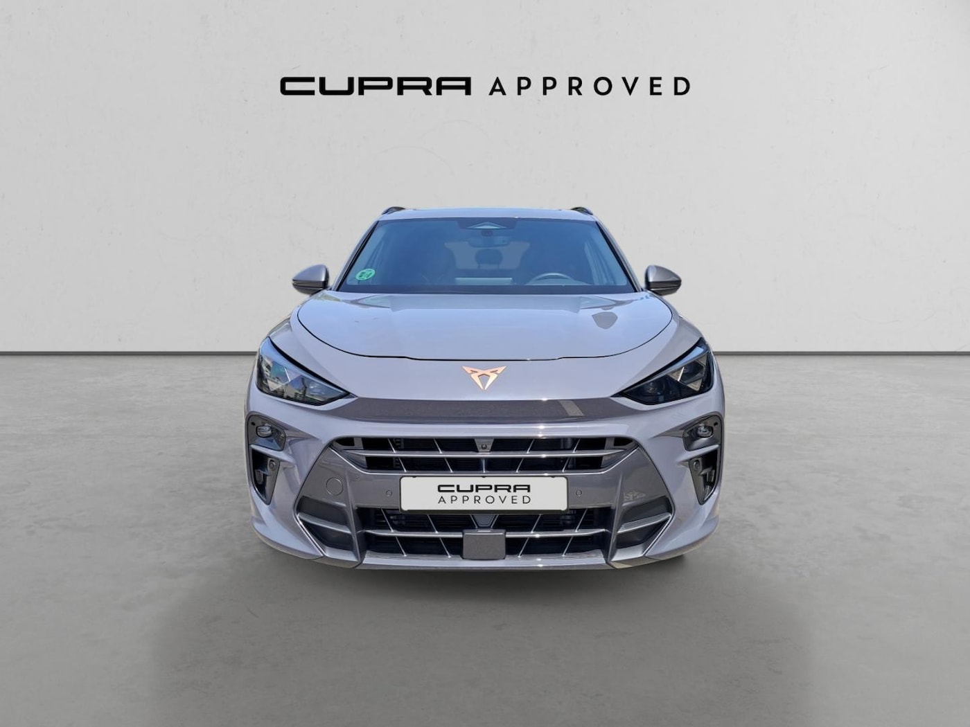 CUPRA Terramar 2.0 TSI VZ 4 Drive DSG 195 kW (265 CV) — photo 12