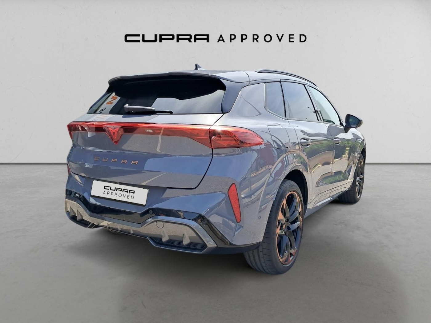 CUPRA Terramar 2.0 TSI VZ 4 Drive DSG 195 kW (265 CV) — photo 14