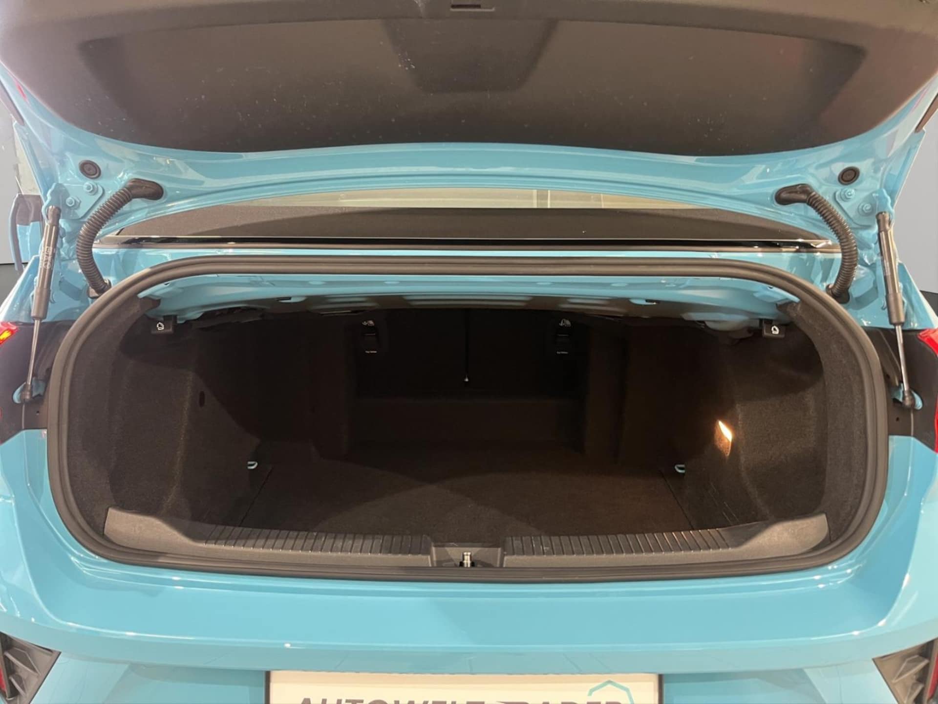 Volkswagen T-Roc Cabriolet R-Line