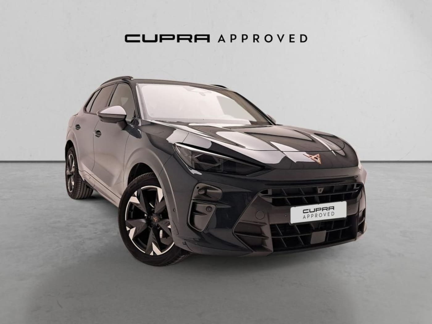 CUPRA Terramar 1.5 eTSI DSG 110 kW (150 CV) — photo 1