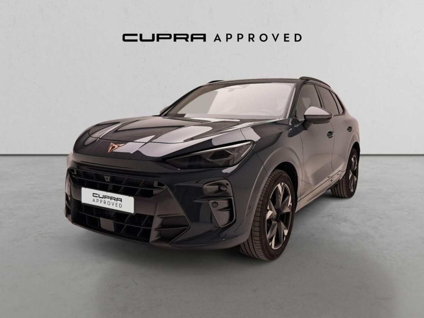 CUPRA Terramar 1.5 eTSI DSG 110 kW (150 CV) — photo 13