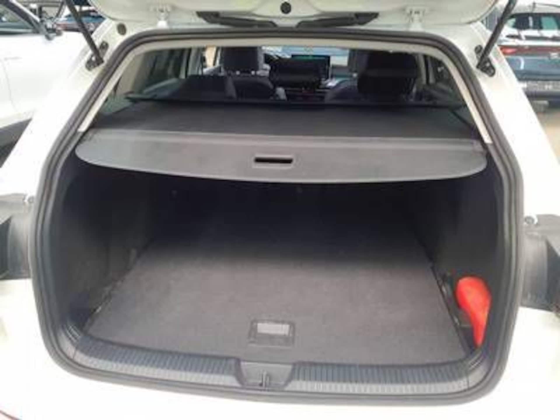 Volkswagen Golf Variant Goal