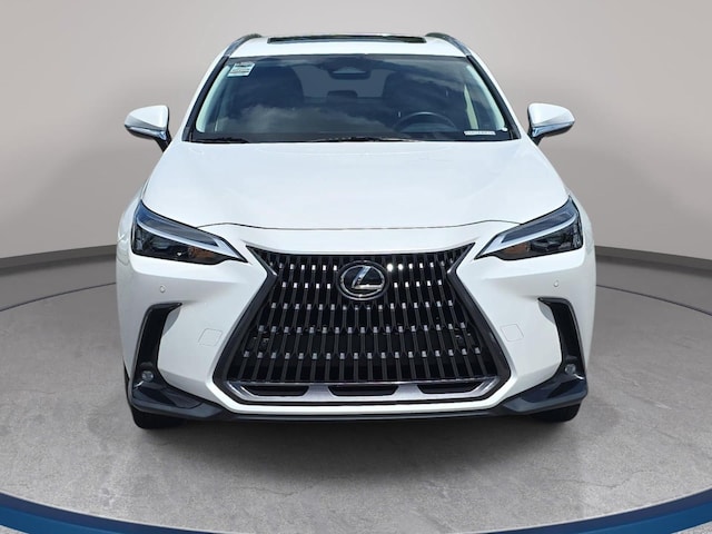 2024 Lexus NX 250