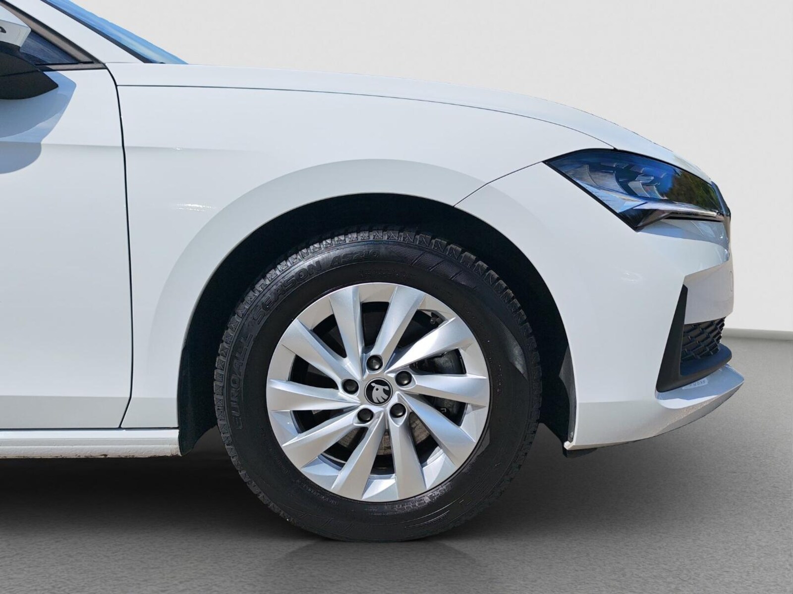 Škoda Superb Combi – Bild 17