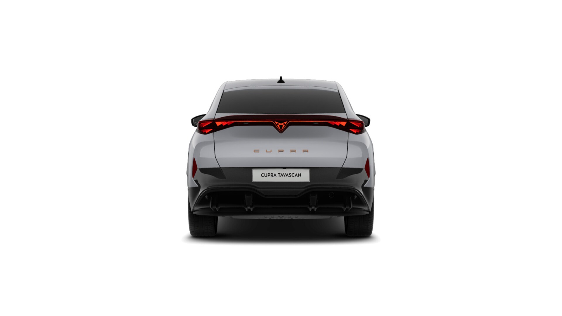 CUPRA Tavascan Endurance