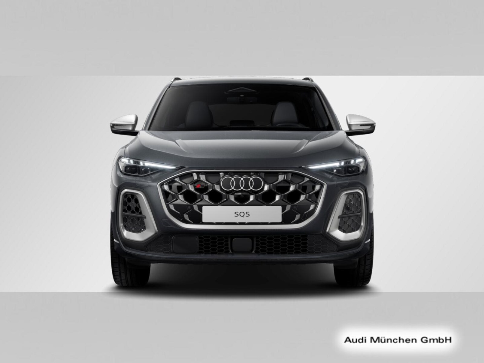 Audi SQ5 – Bild 2
