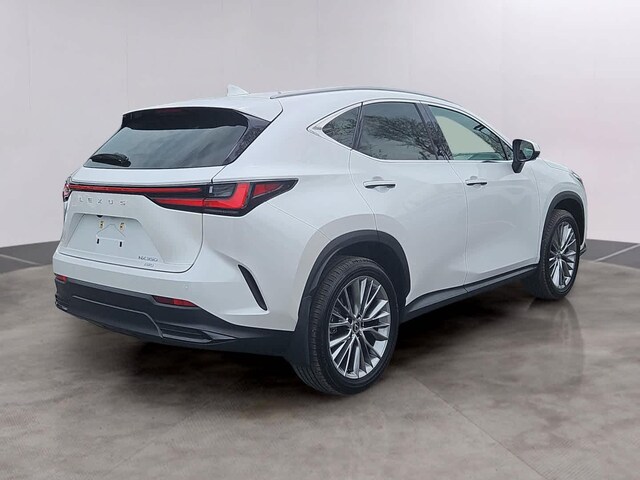 2024 Lexus NX 350