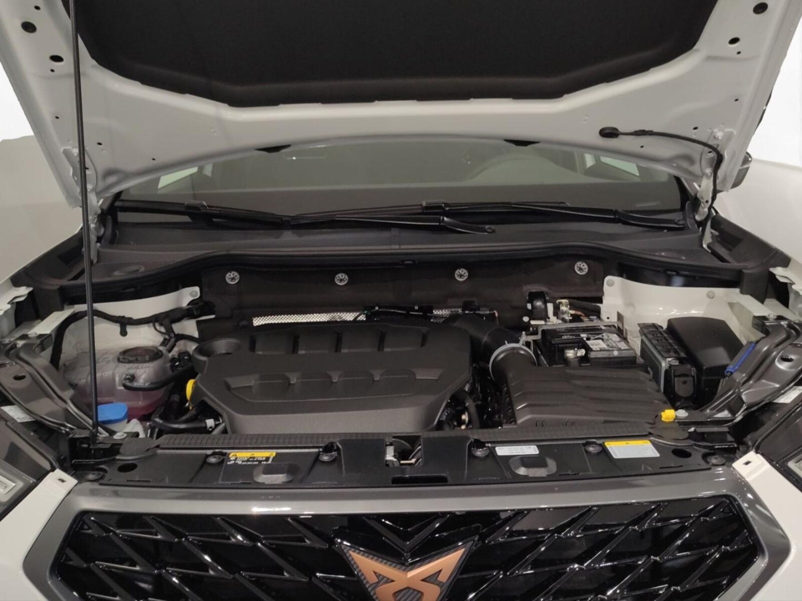 CUPRA Ateca – Bild 18