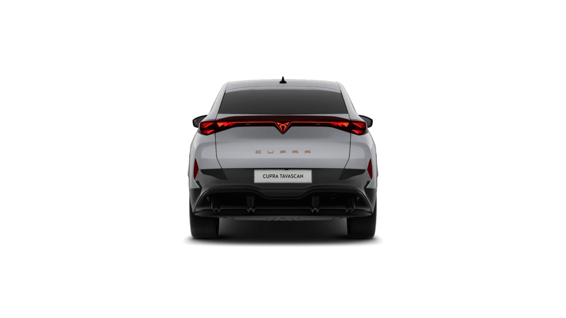 CUPRA Tavascan Endurance