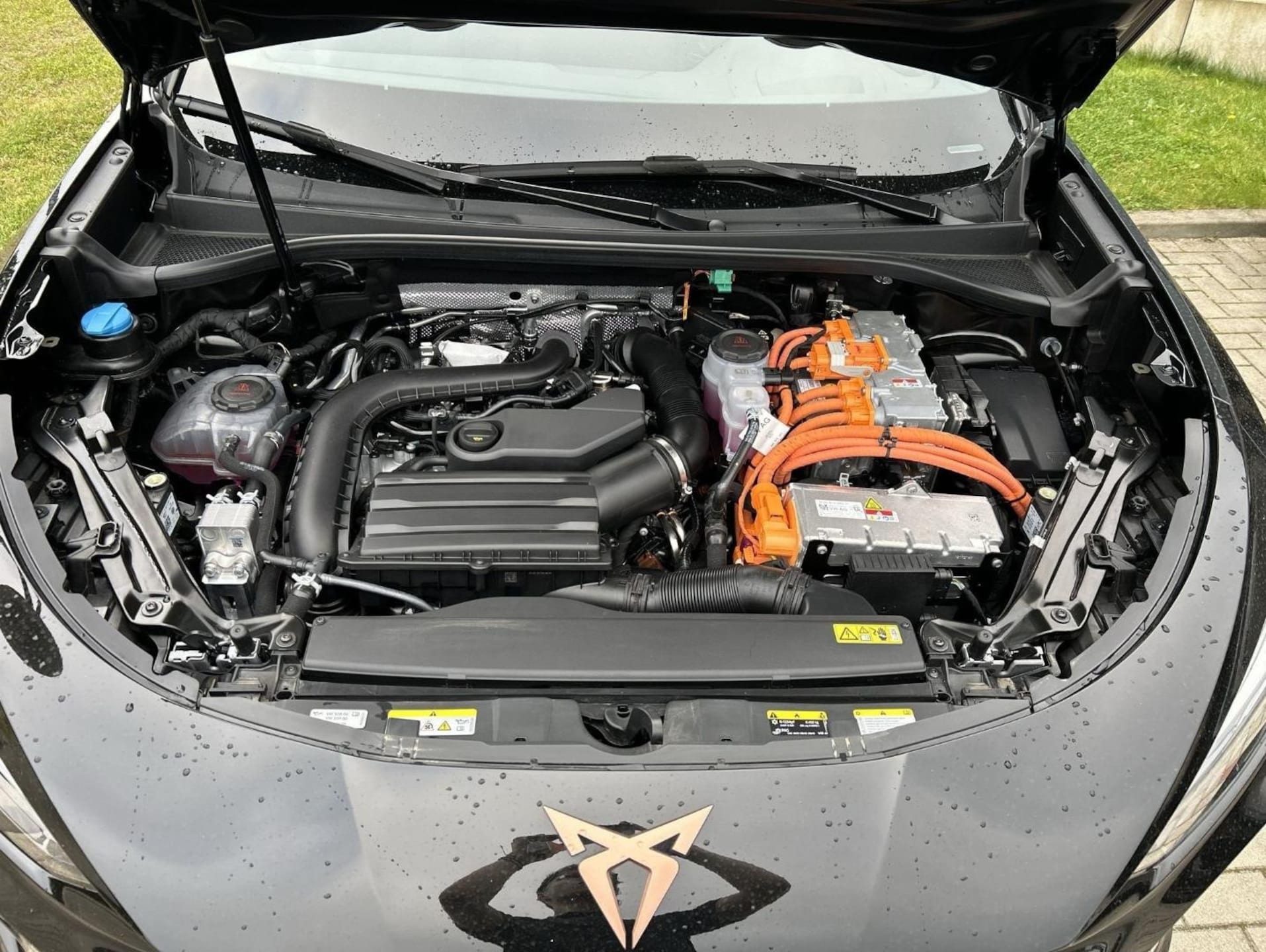 CUPRA Terramar