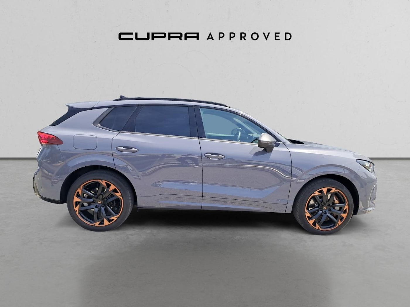 CUPRA Terramar 2.0 TSI VZ 4 Drive DSG 195 kW (265 CV) — photo 3