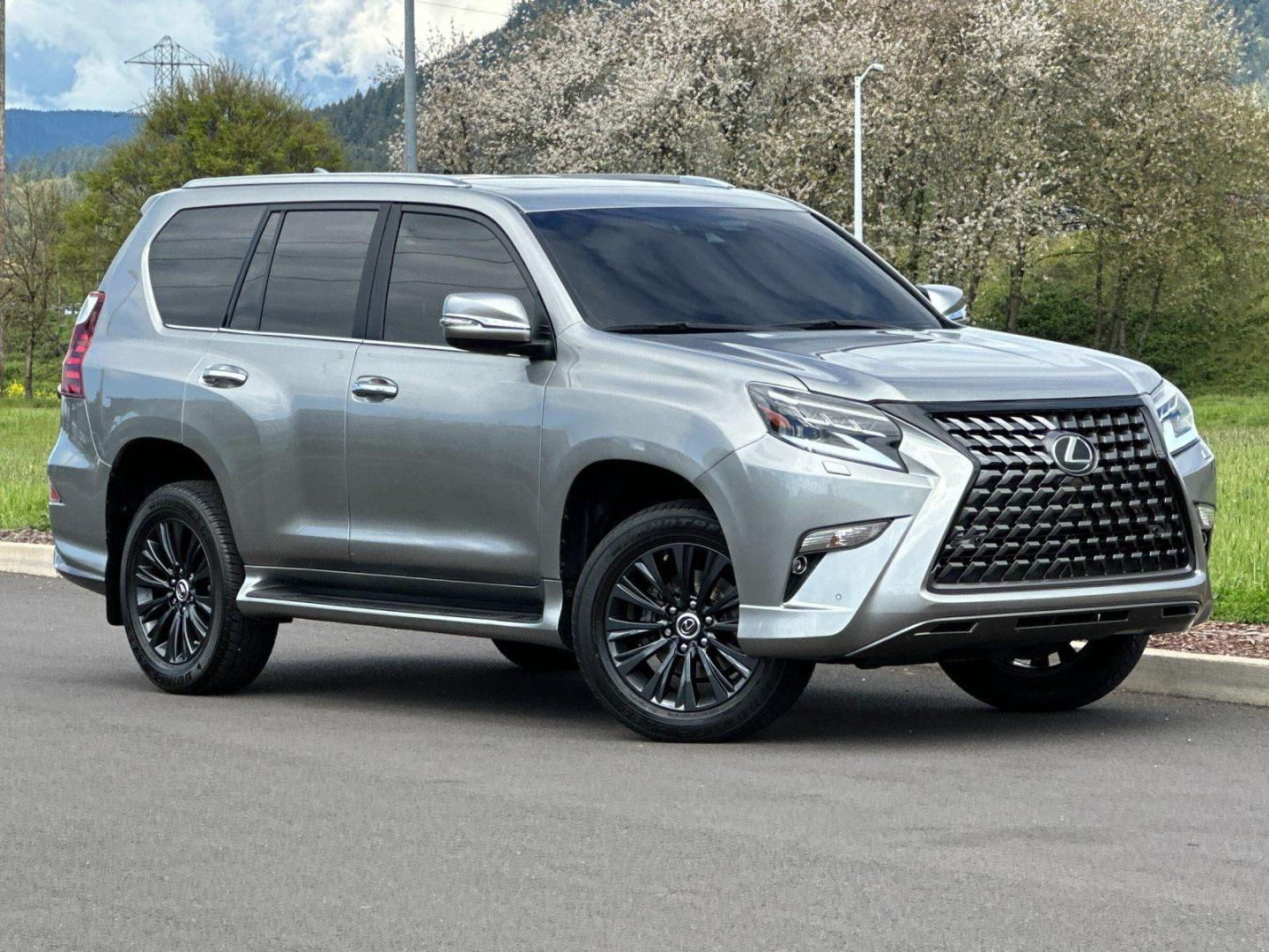 2022 Lexus GX 460 460 PREMIUM's photo