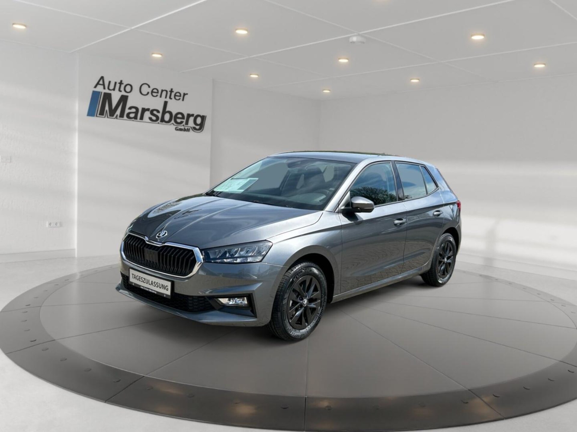 Skoda Fabia Selection