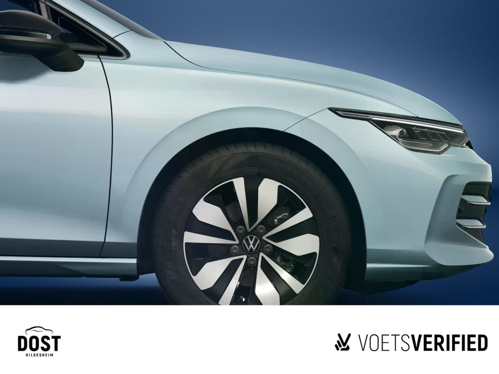 Volkswagen Golf Variant Goal