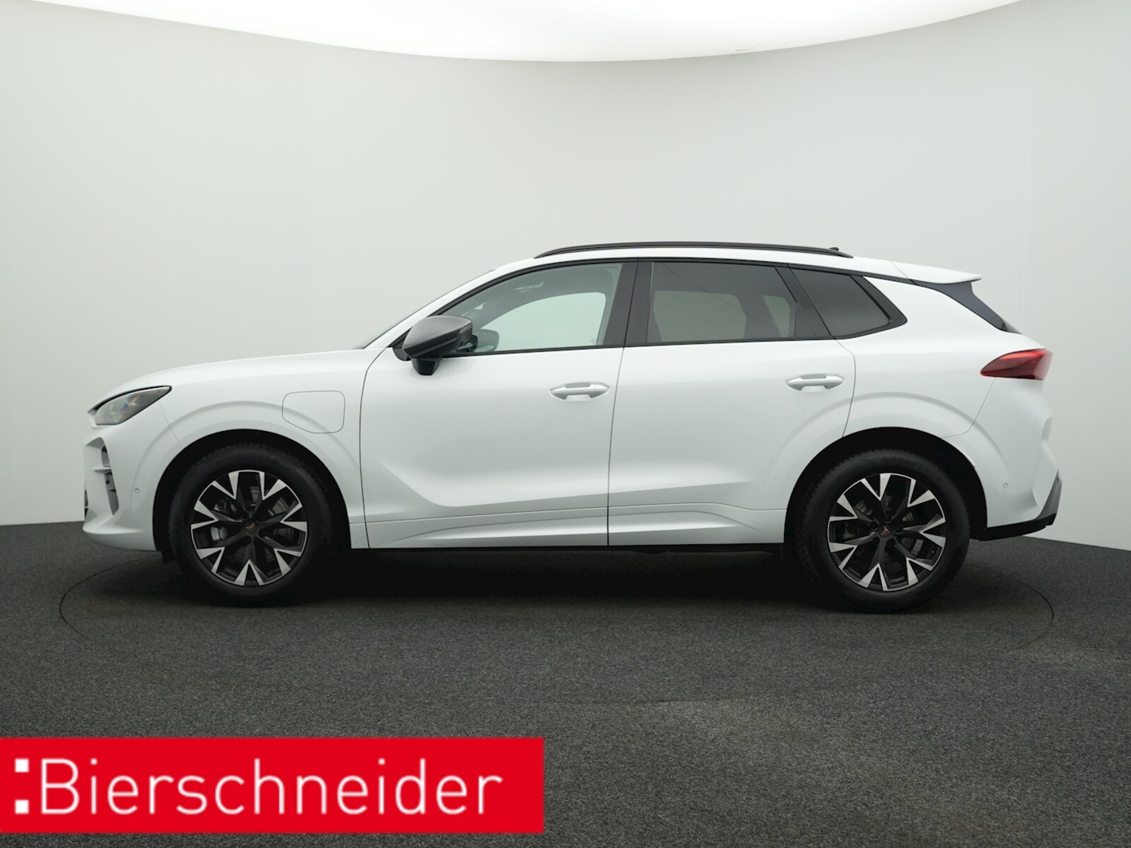 CUPRA Terramar – Bild 2