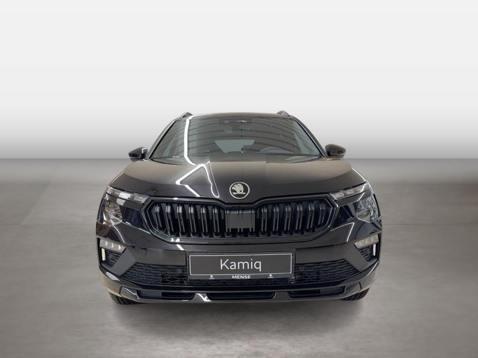 Skoda Kamiq Monte Carlo