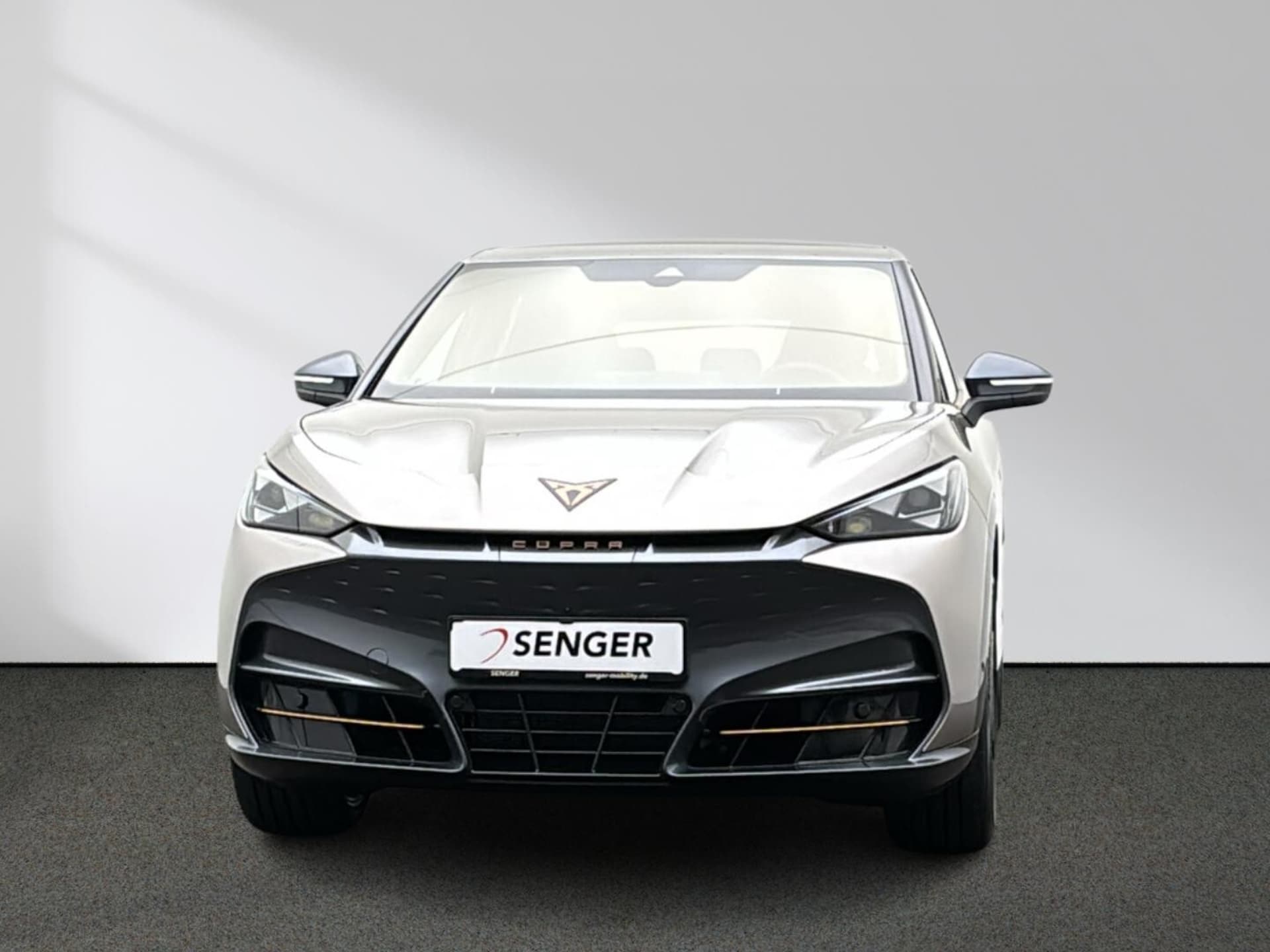 CUPRA Tavascan Endurance
