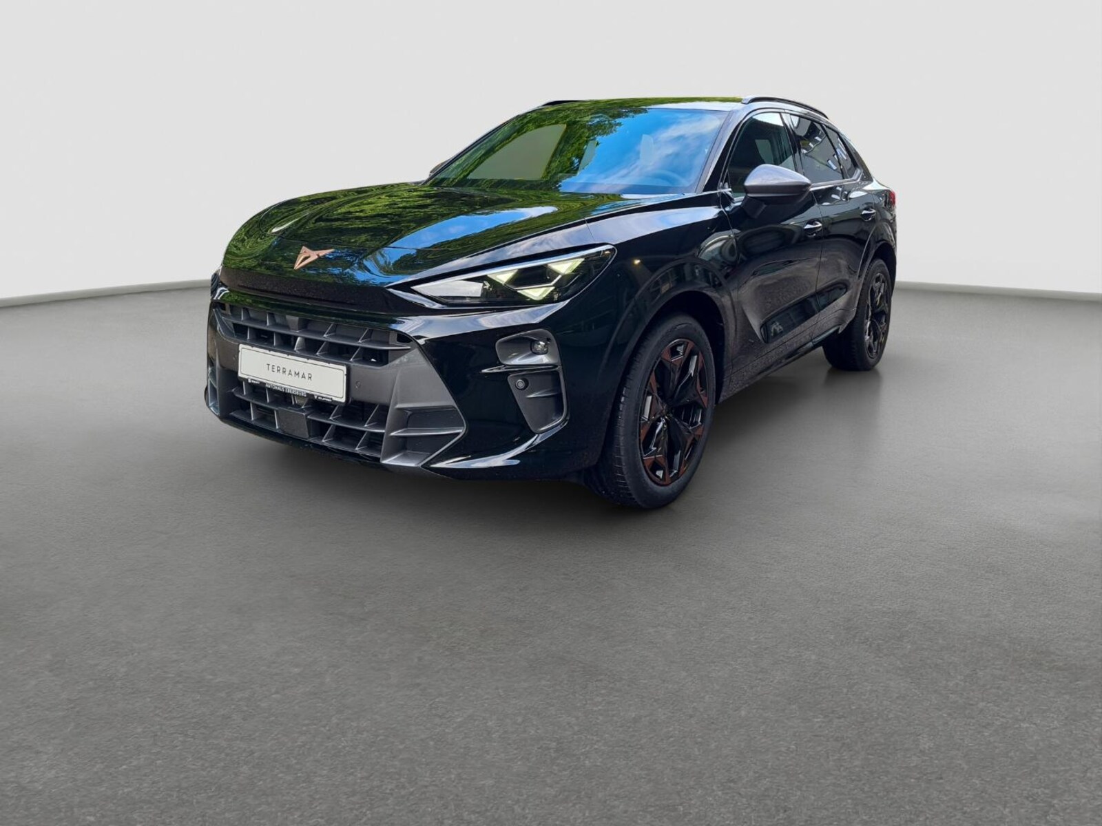 CUPRA Terramar – Bild 2