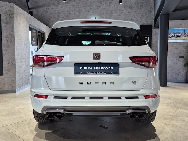Bild des Autos 12