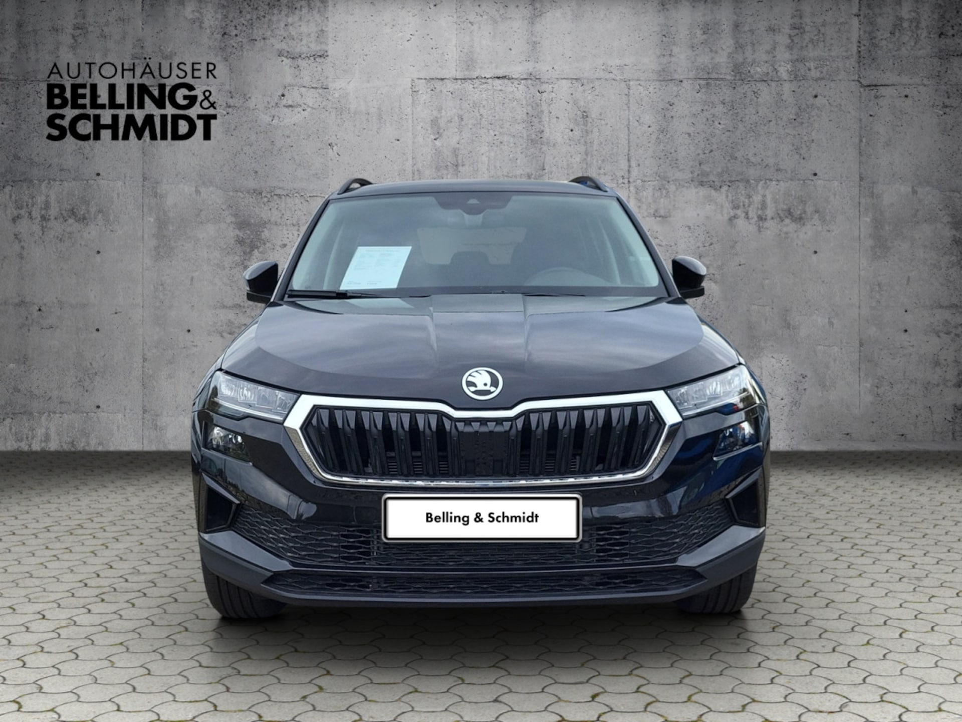 Skoda Karoq Selection