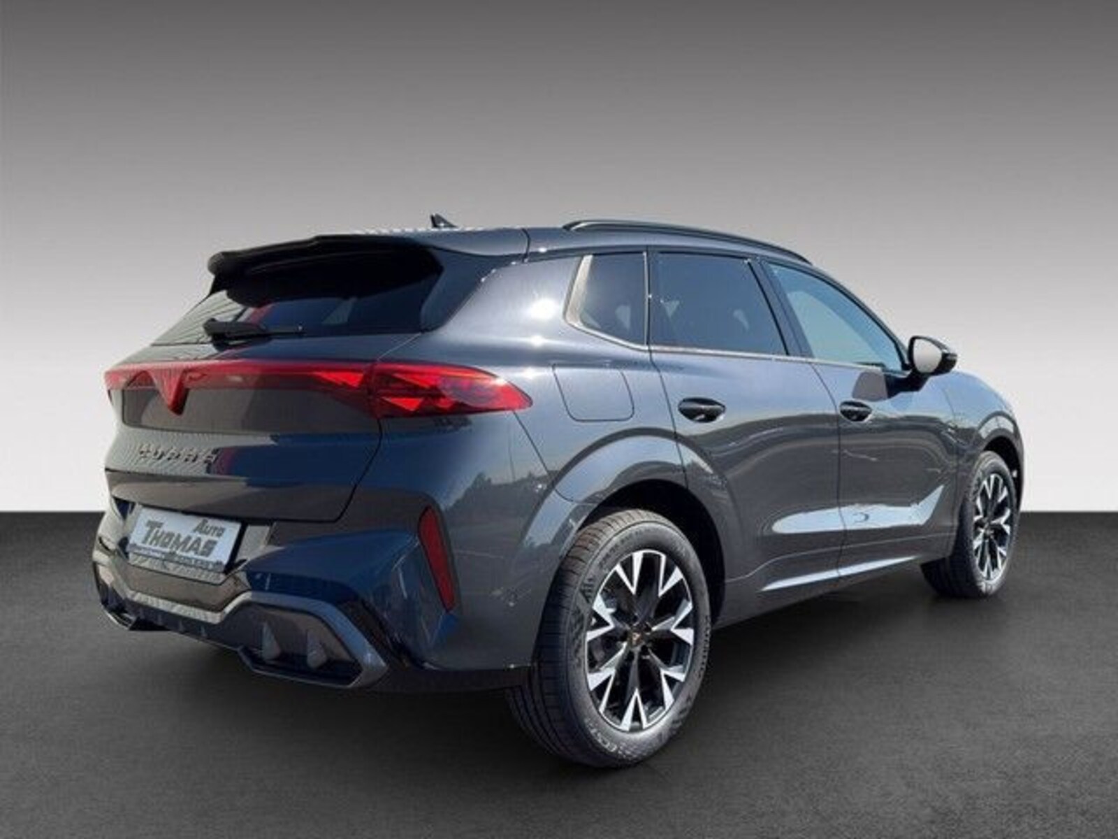 CUPRA Terramar – Bild 4