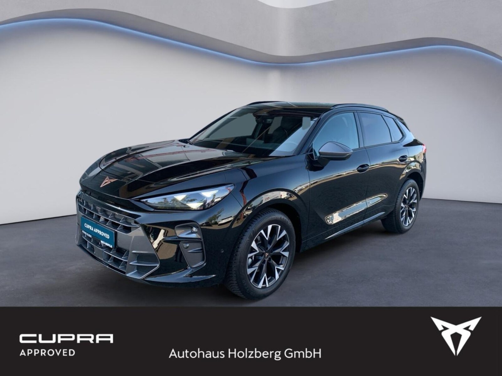 CUPRA Terramar – Bild 2